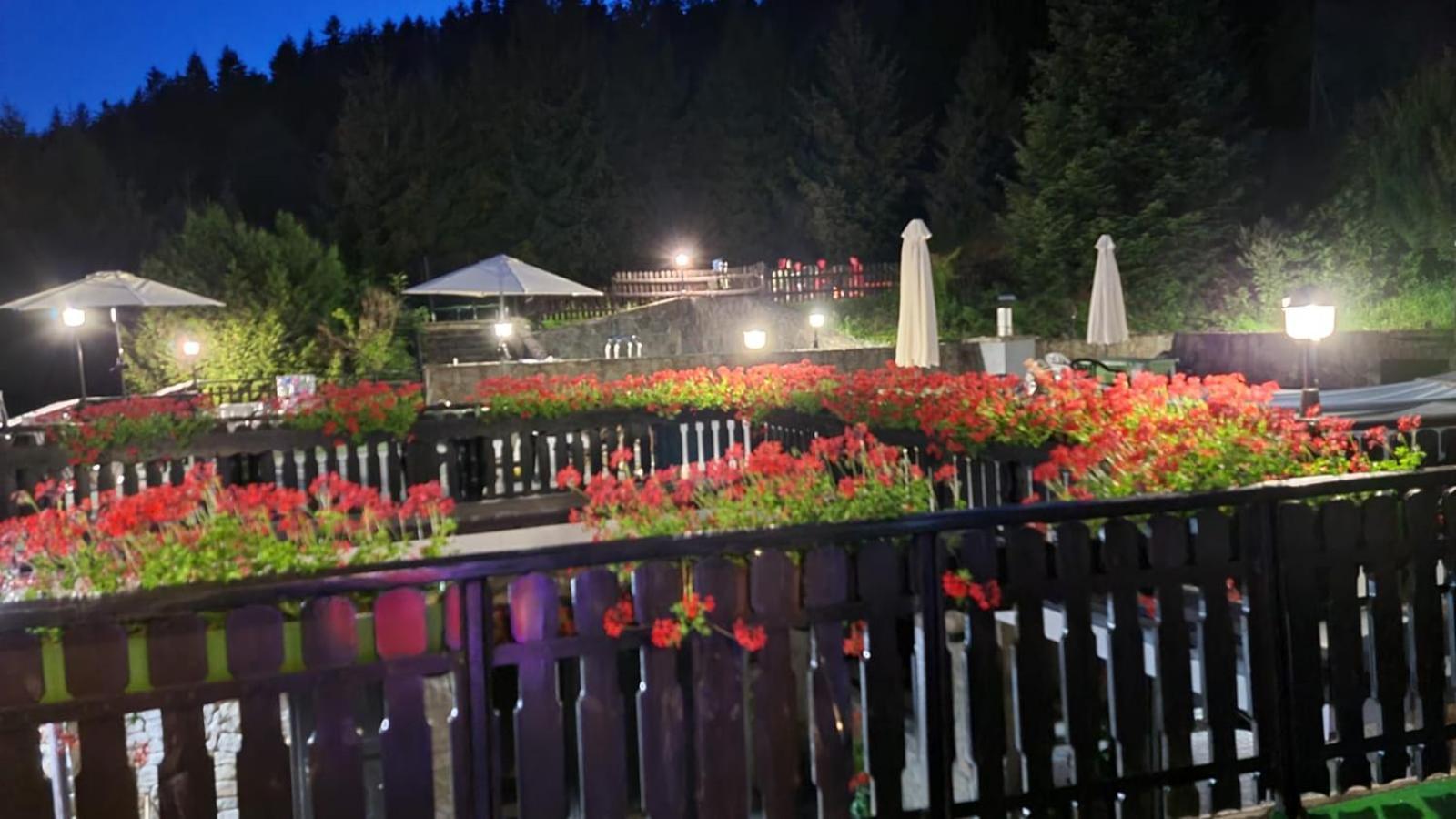Eden Szczyrk Bed & Breakfast Bagian luar foto